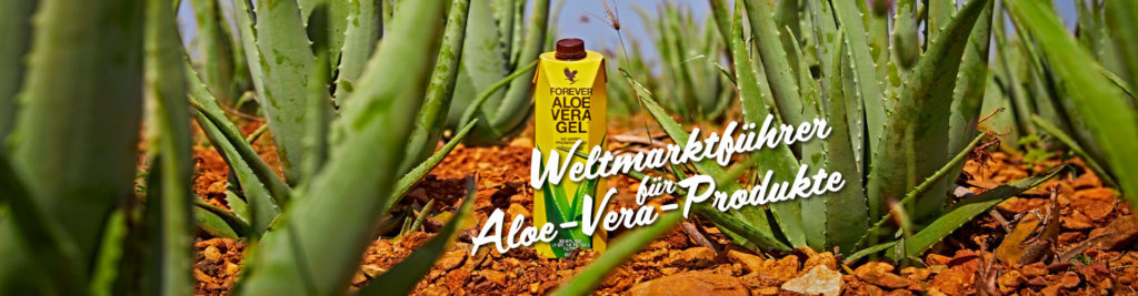 aloe-vera-produkte